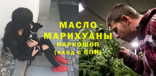 МДПВ Инсар